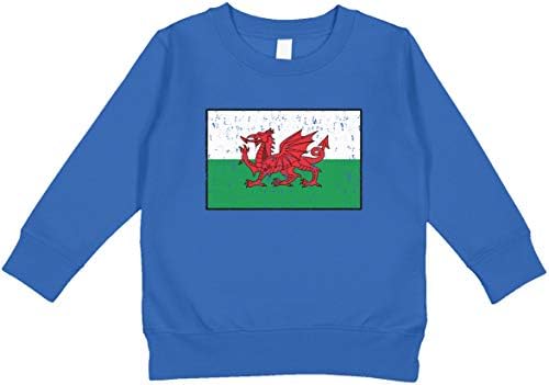 Hoody за деца с уэльским флага Amdesco за Уелс